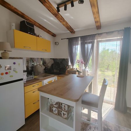 Novigrad IstriaCattleya公寓 外观 照片
